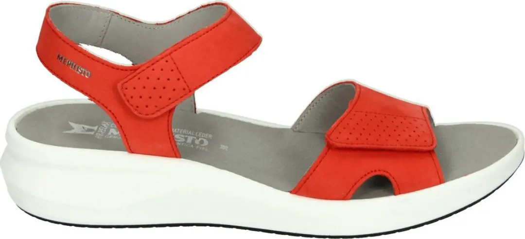 Mephisto TANY BUCKSOFT