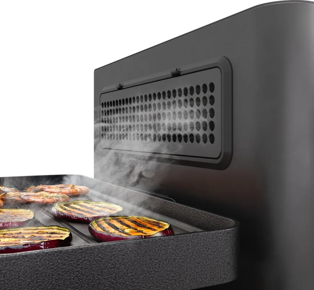 Princess 162660 Raclette Purify 8 Personen - 1500W - Zwart