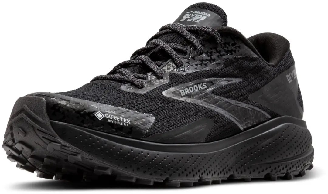Brooks Divide 5 GTX