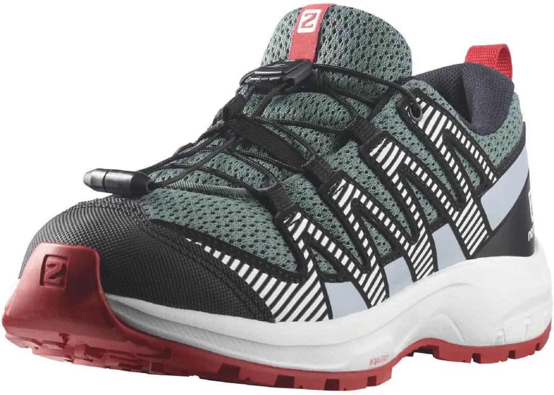 Salomon Xa Pro V8 Wandelschoenen Grijs EU 32