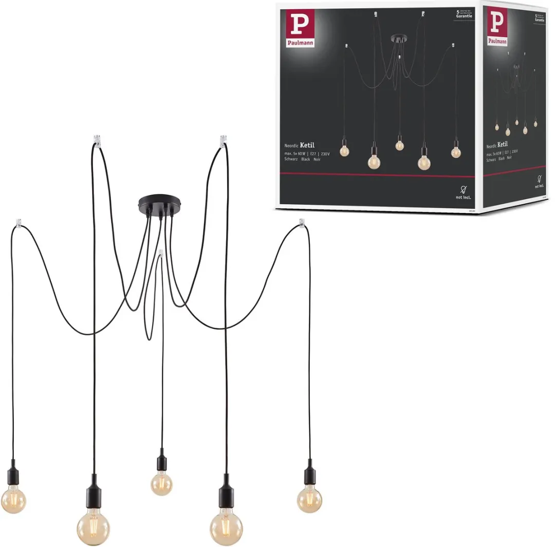 Paulmann Neordic Hanglamp Ketil E27 5x60W