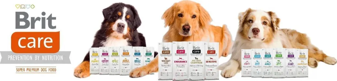 Brit Care Grain Free Puppy Salmon & Potato 12kg