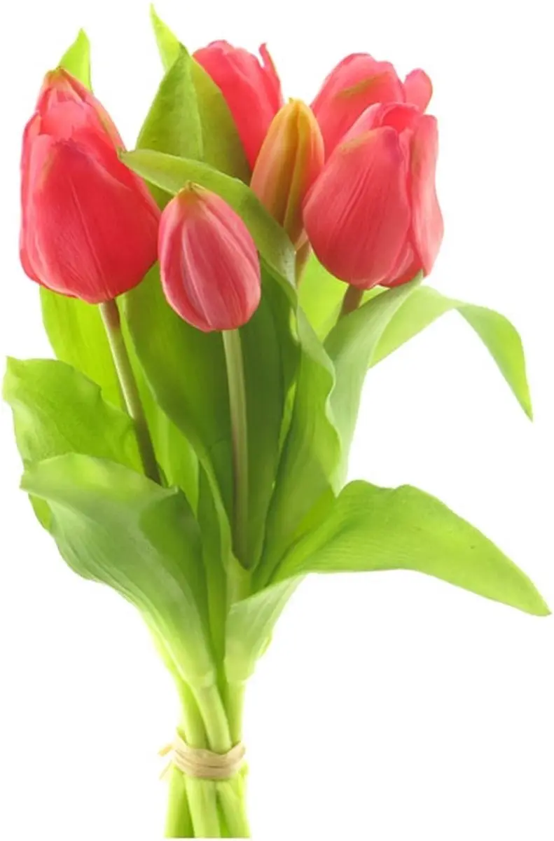Real touch tulpen