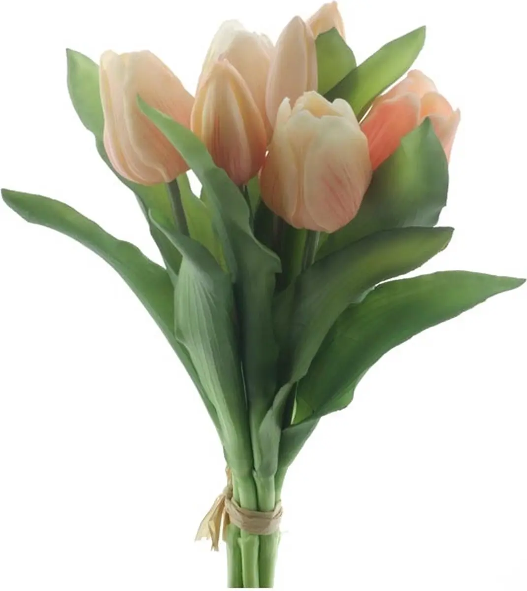 Real touch tulpen