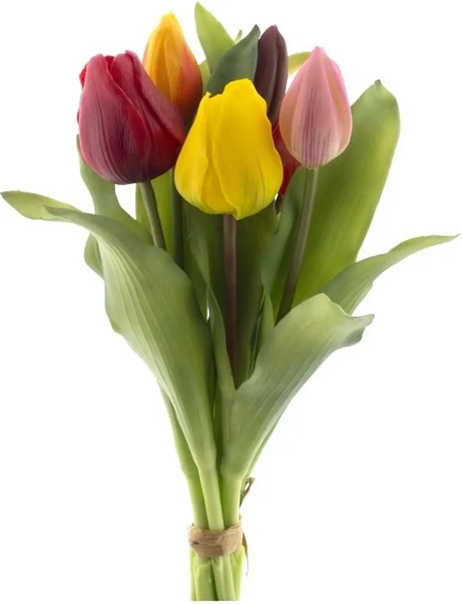 Real touch tulpen