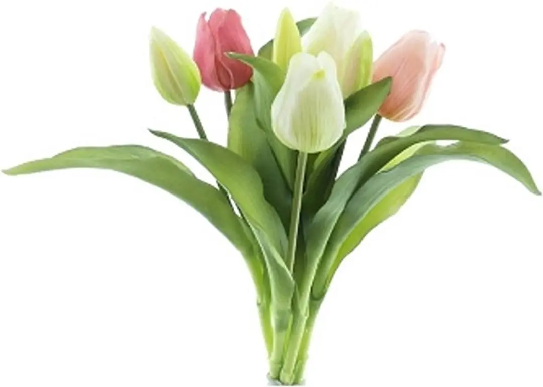 Real touch tulpen