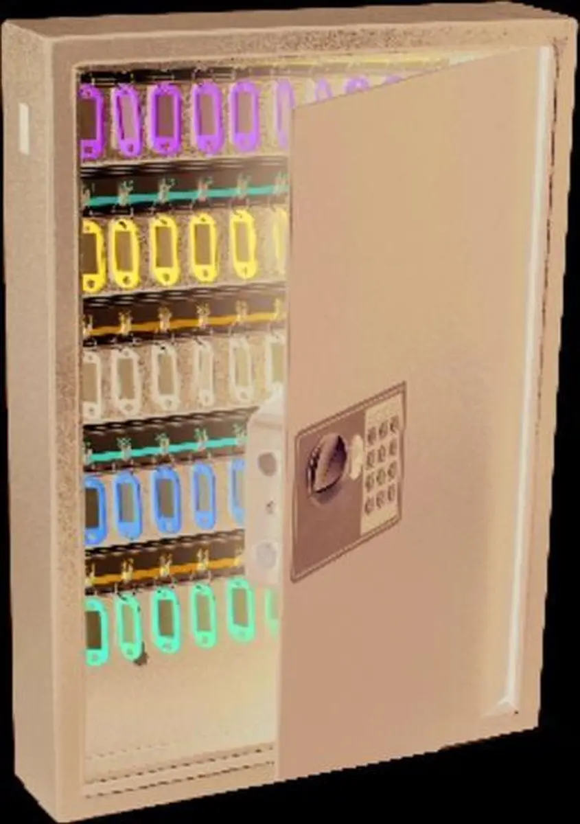 Pavo Sleutelkast High Security 100 Haken - afbeelding 3 van 6