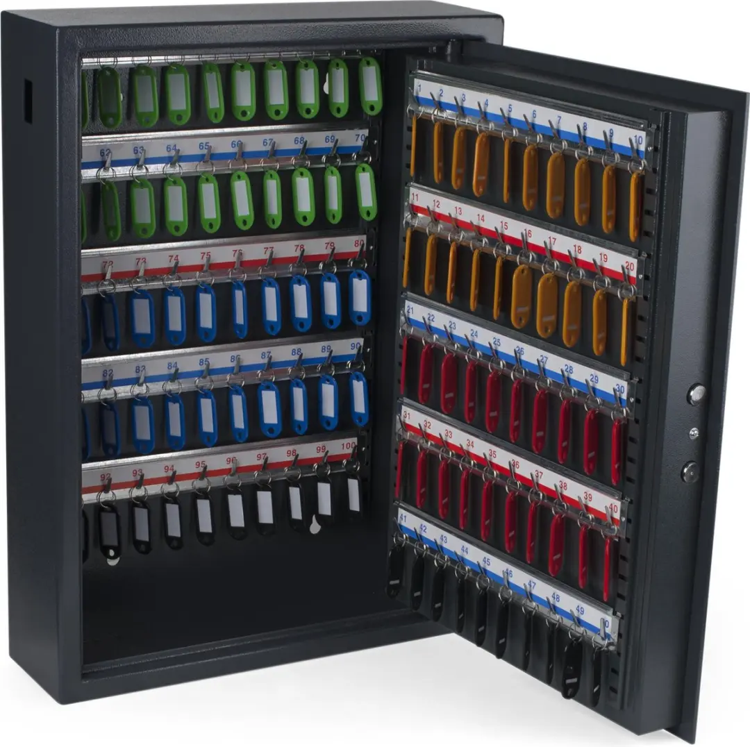 Pavo Sleutelkast High Security 100 Haken