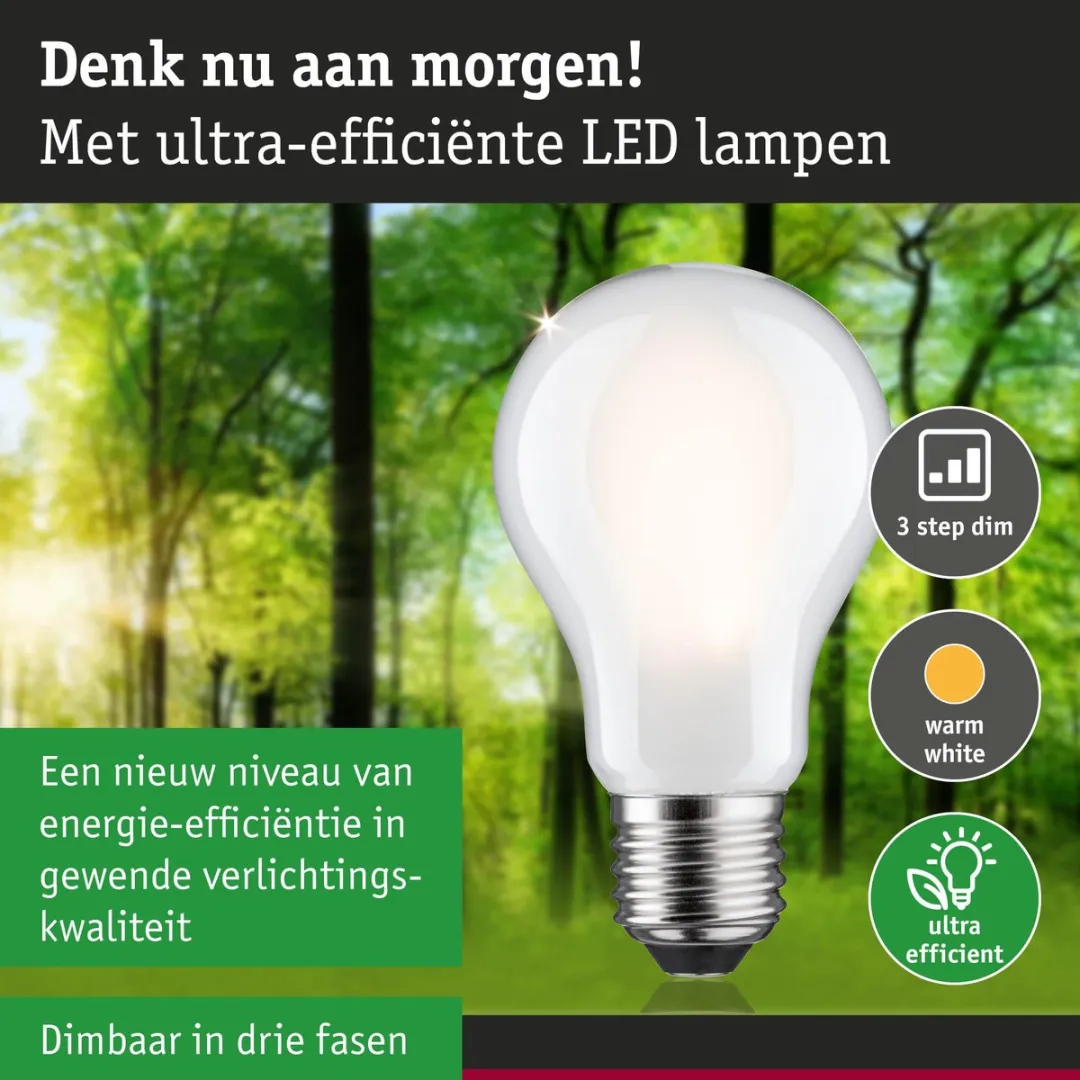 Paulmann Eco-Line LED-gloeilamp E27 806lm 4.3W 3000K Mat - afbeelding 6 van 6