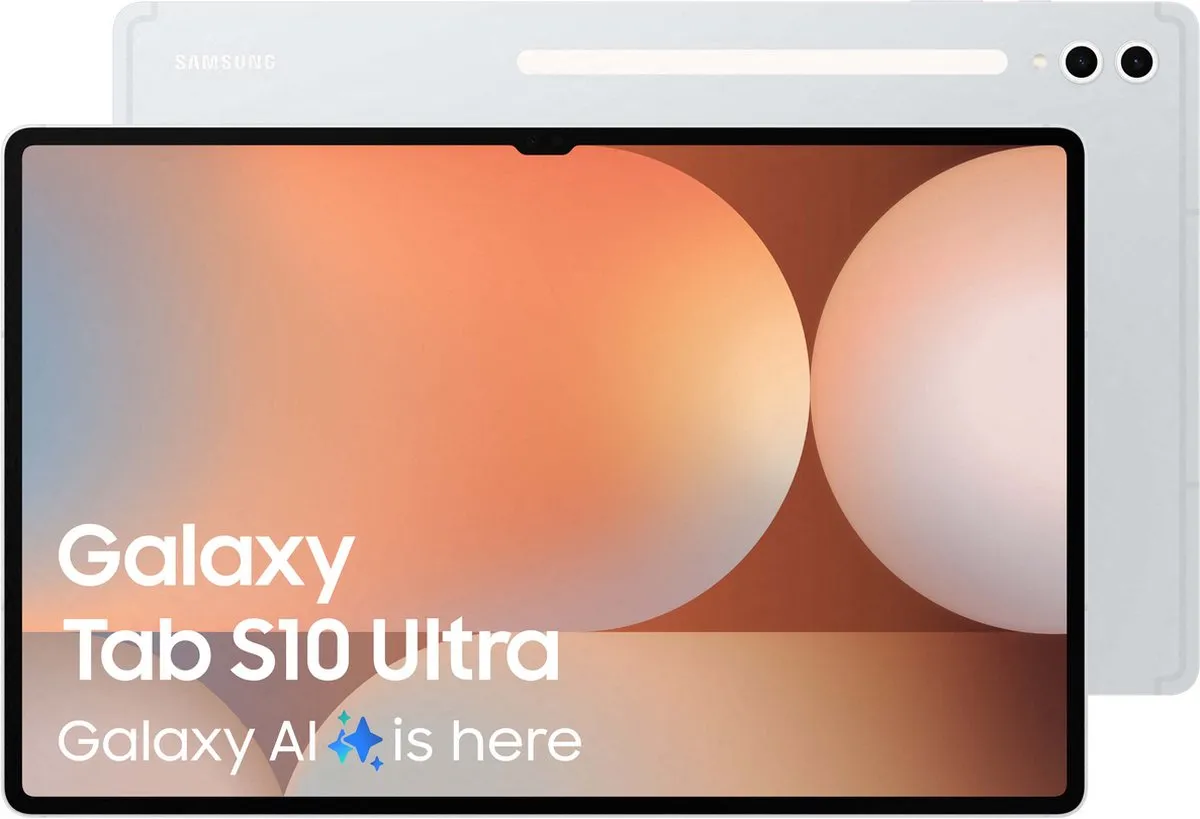 Samsung Galaxy Tab S10 Ultra SM-X920NZSREUE - 12/256GB - Zilver