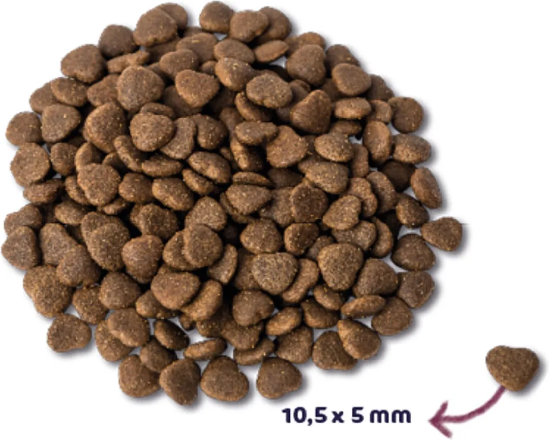 Renske Super Premium Kat Adult Zalm 6kg - 2 Stuks