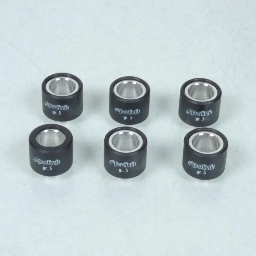 Variateurset compleet Polini voor scooter Piaggio NRG Power 50 2T E4 241.672.2