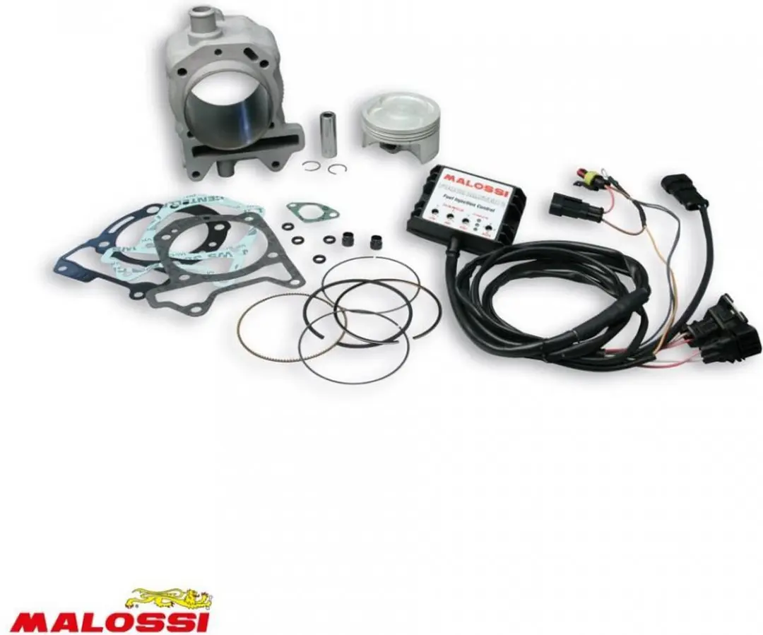 Malossi cilinder voor scooter Piaggio 125 Beverly 2010-2017 3116090 / Quasar mot