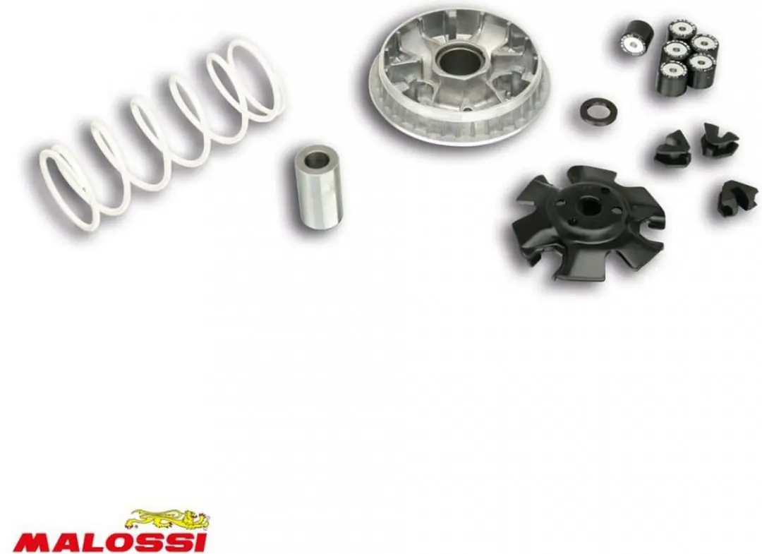 malossi variator voor sym 125 fiddle scooter na 2008 5113813 / multivar 2000 nie