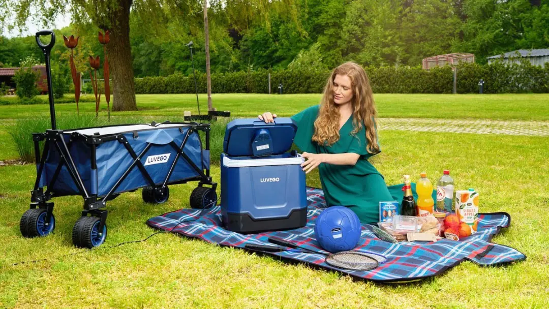 Luvego Opvouwbare Bolderkar - 100kg - 135L - afbeelding 3 van 6