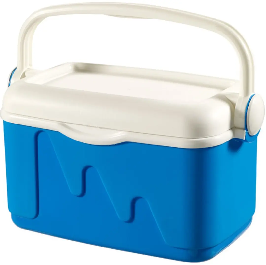 Curver Koelbox 10L