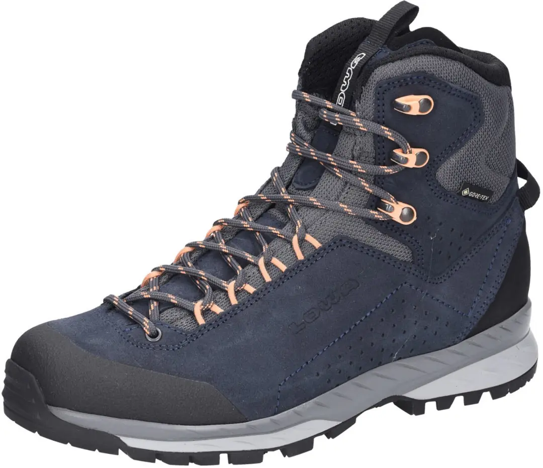 Lowa Amplux 2 GTX Dames Veterschoen