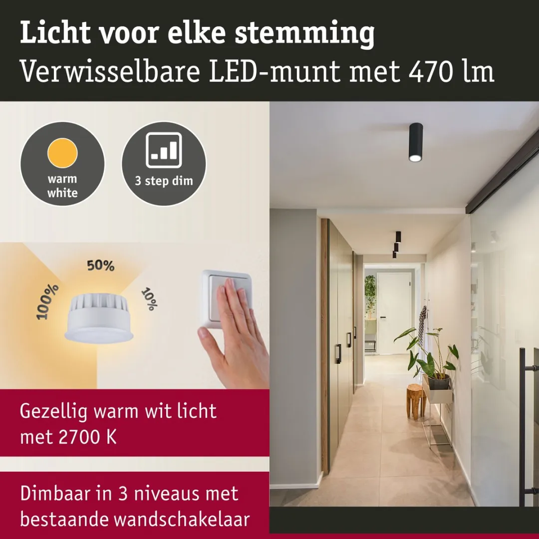 Paulmann LED Plafondlamp Barrel 2700K 470lm 6W - Staal geborsteld
