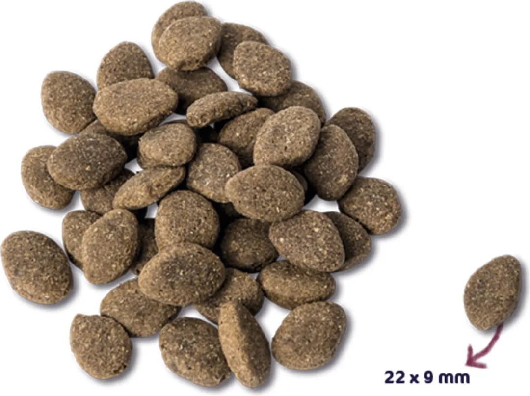 Renske Super Premium Adult Lam Graanvrij 12kg - 2 Stuks