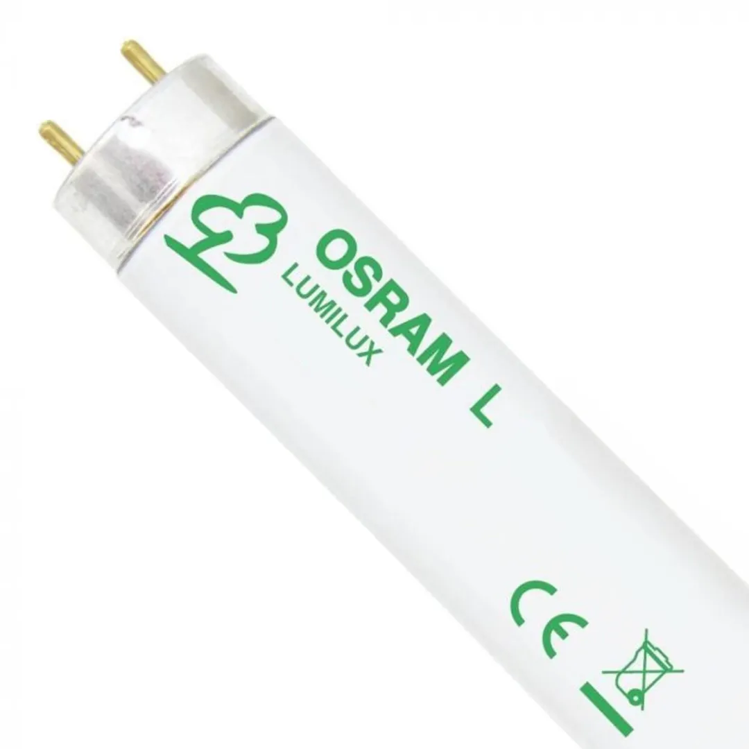 Osram Lumilux T8 TL-buis G13 18W 3000K - 60.4cm - Mat