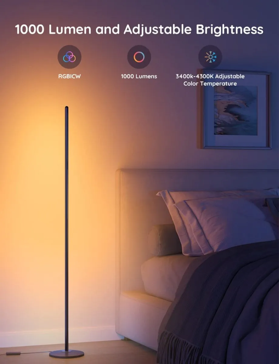 Govee Floor Lamp lite