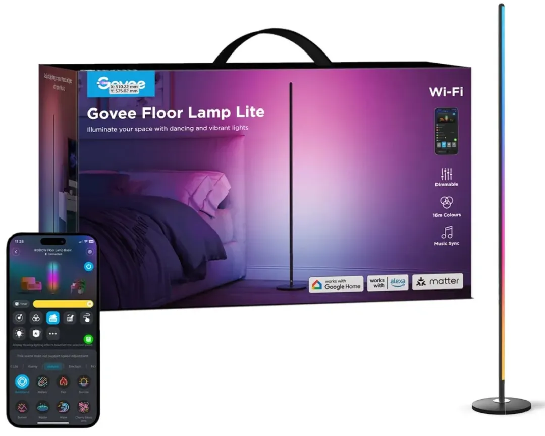 Govee Floor Lamp lite