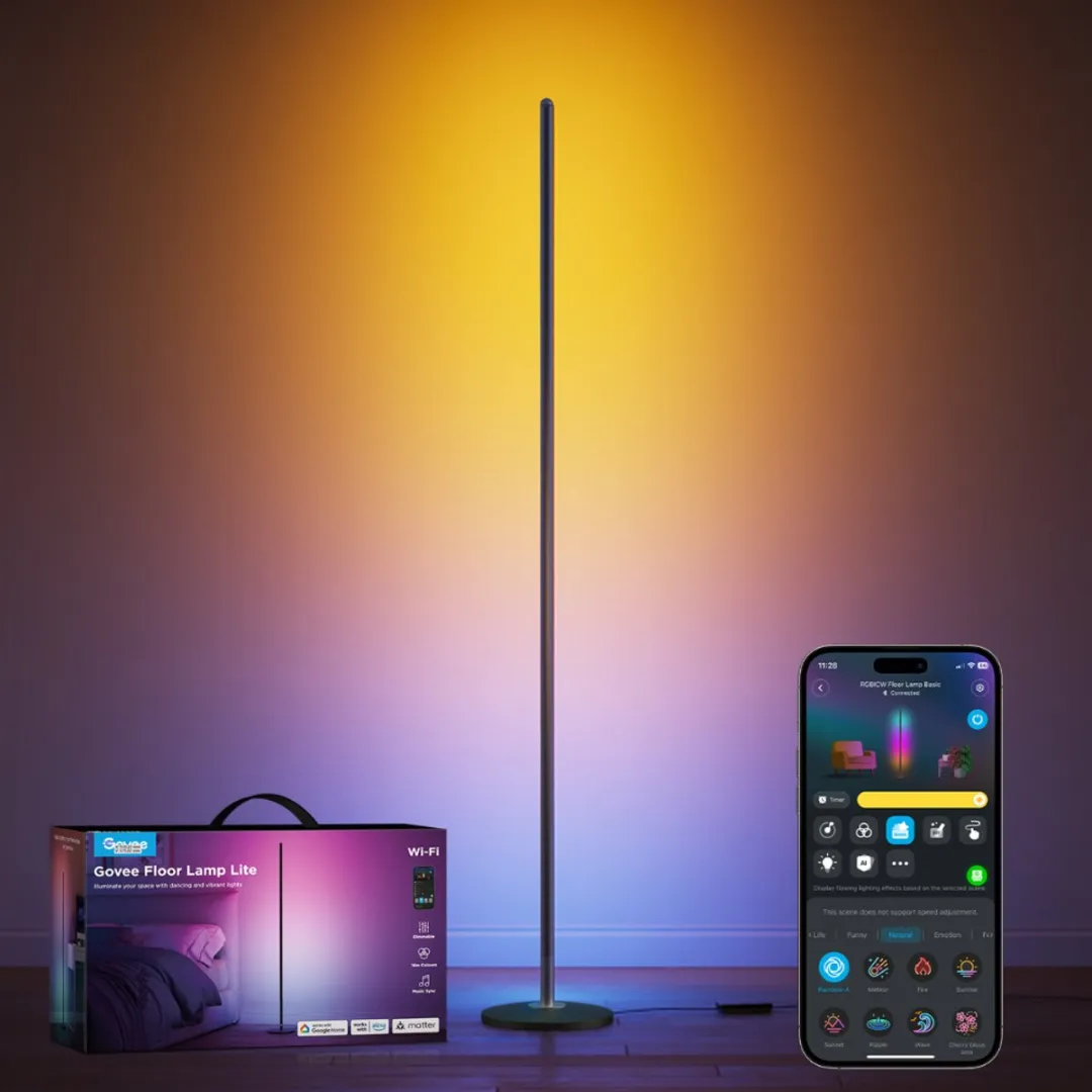 Govee Floor Lamp lite