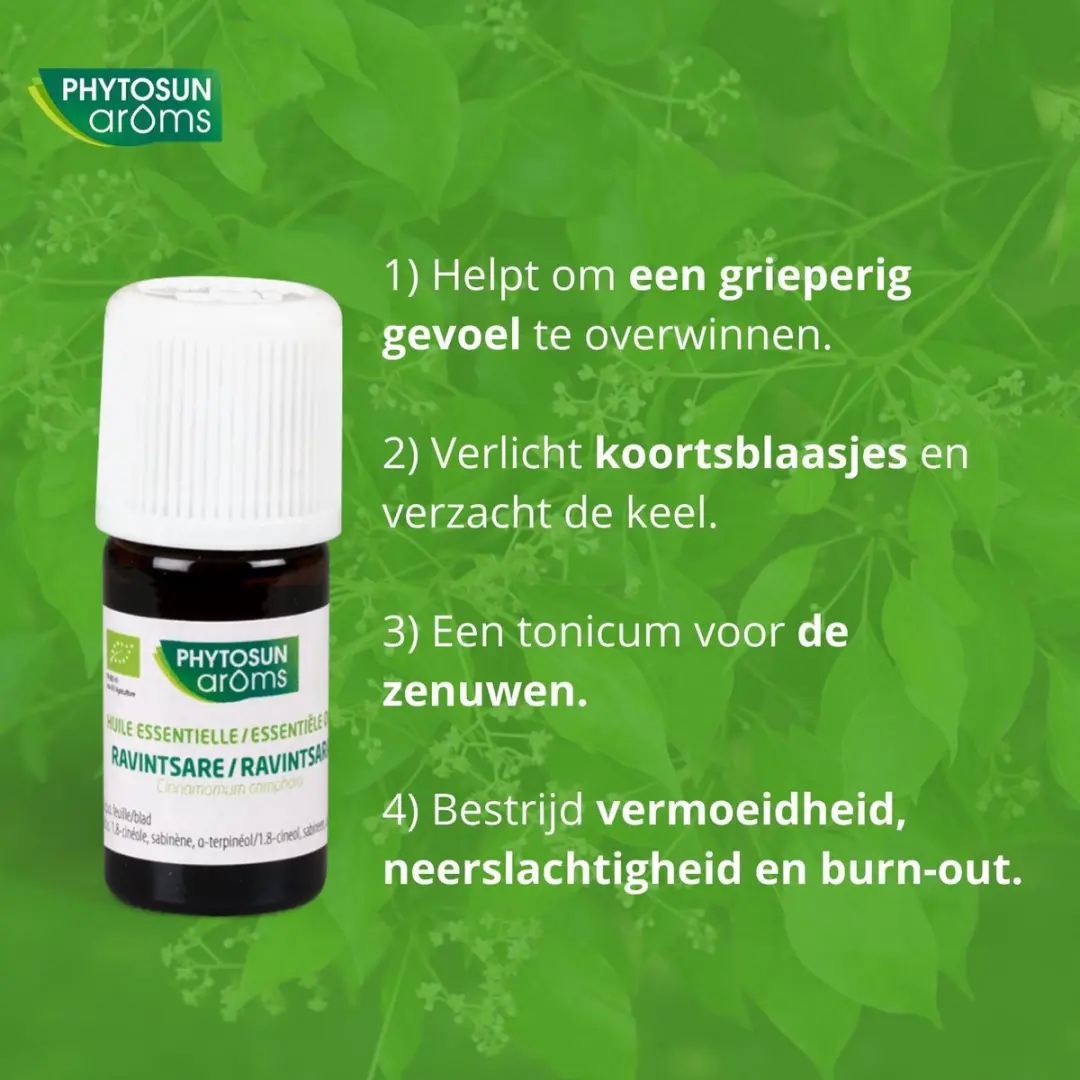 Phytosun Ravintsara Bio Essentiële Olie - 5ml - afbeelding 3 van 6
