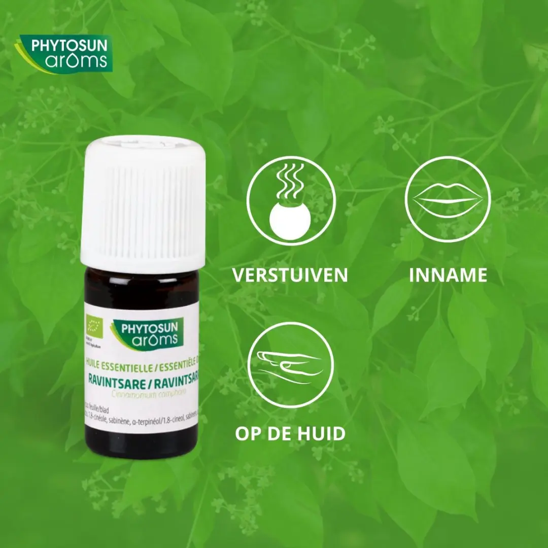 Phytosun Ravintsara Bio Essentiële Olie - 5ml - afbeelding 4 van 6