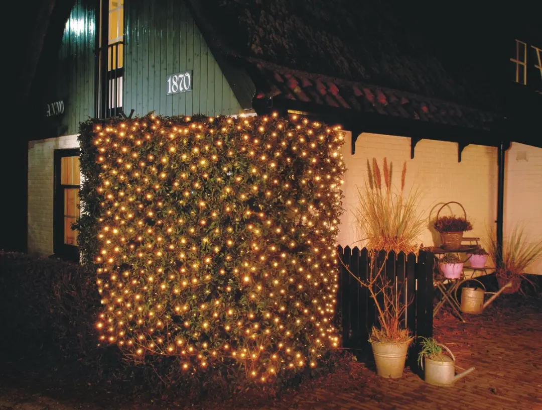 Anna's Collection Netverlichting 200x140cm - 252 LEDs - afbeelding 4 van 6