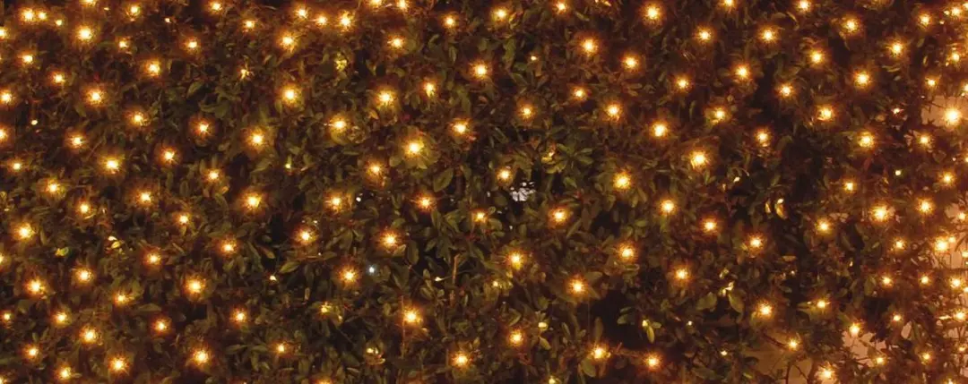 Anna's Collection Netverlichting 200x140cm - 252 LEDs - afbeelding 5 van 6