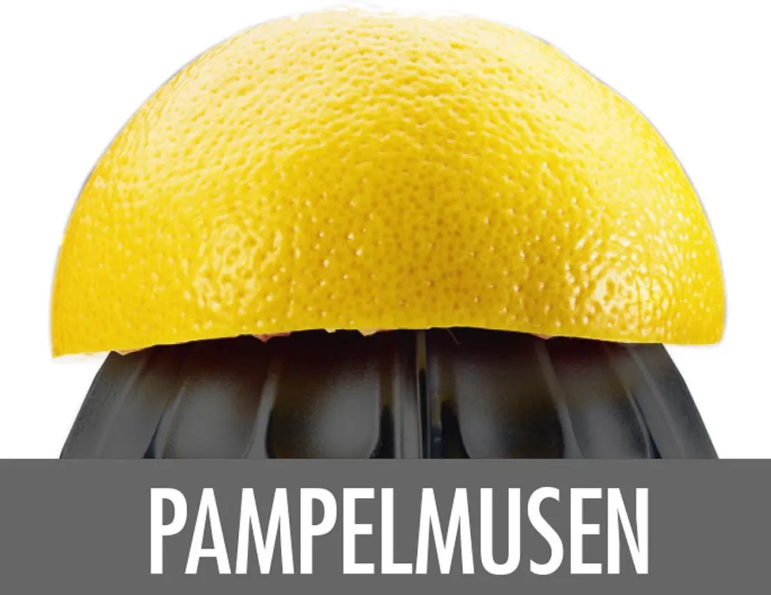 Gastroback Citrus Press Home Culture