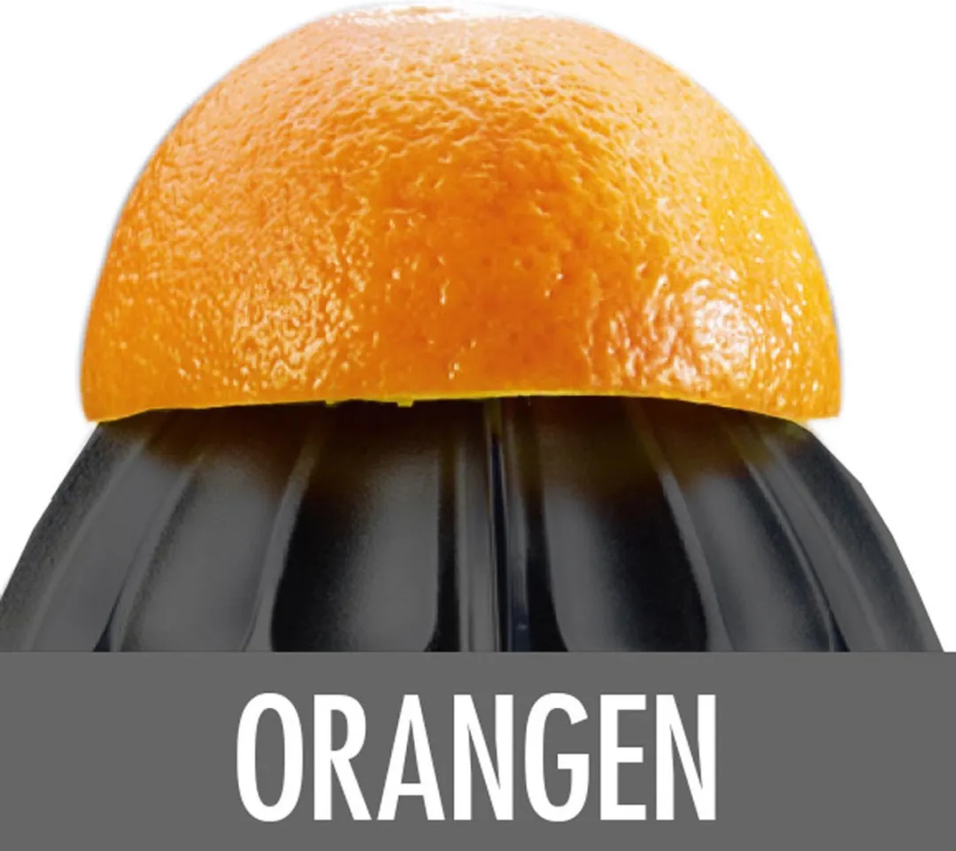 Gastroback Citrus Press Home Culture