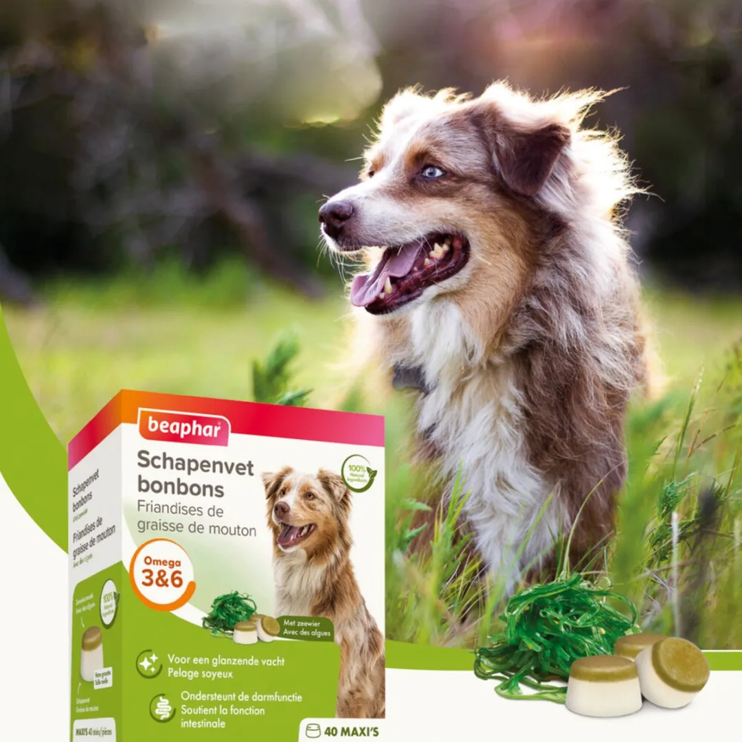 Beaphar Schapenvetbonbons Zeewier - 245g (6x Medium)