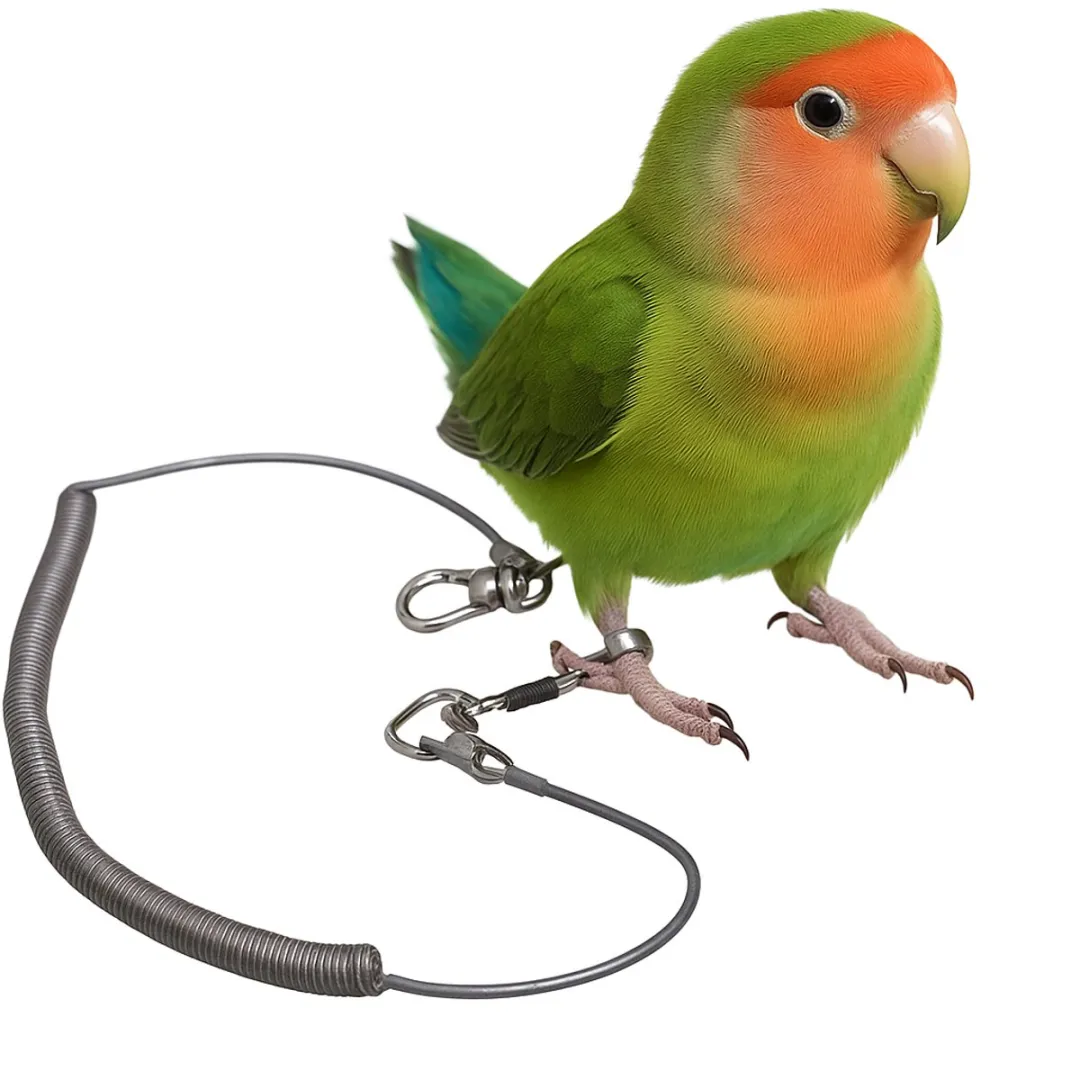 RedParrot Vogelkoord Anti-vlieg 10m