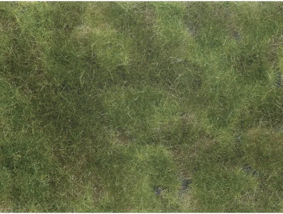 Noch 07251 Bodembedekker Landschap Olijf-groen