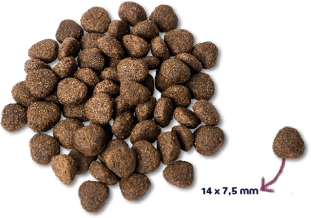 Renske Super Premium Zalm Graanvrij 12kg Hondvoer