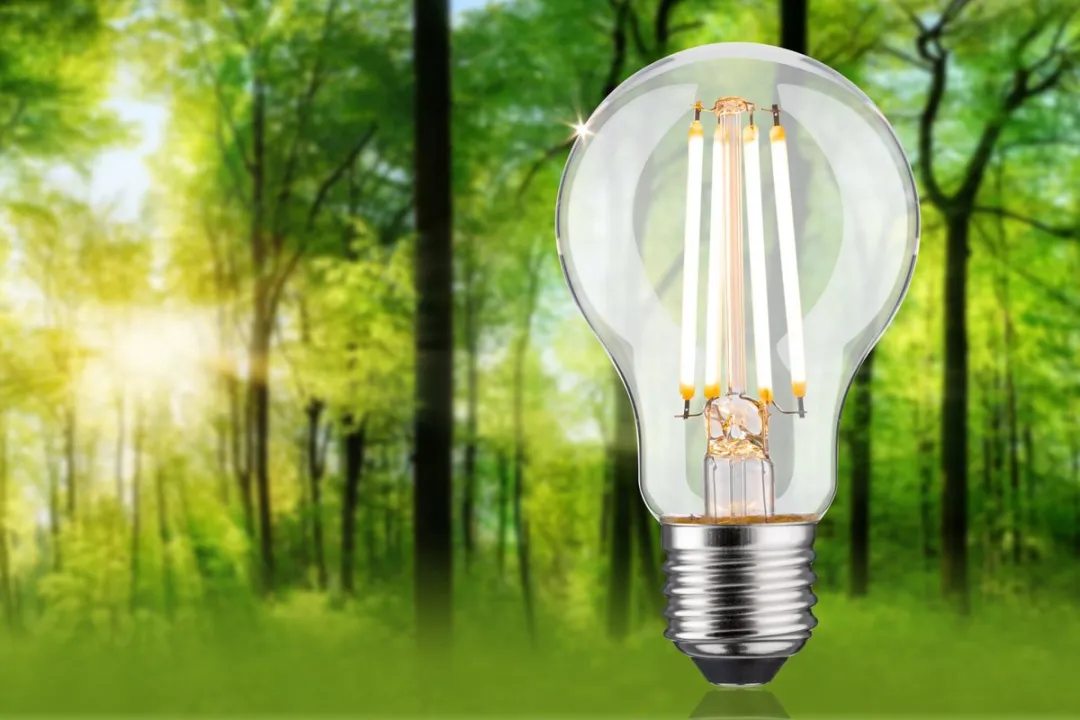 Paulmann Eco-Line LED-gloeilamp E27 5,7W 1055lm 3000K - Helder