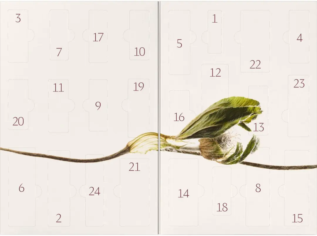 Dr. Hauschka Adventskalender 2026 - afbeelding 5 van 6