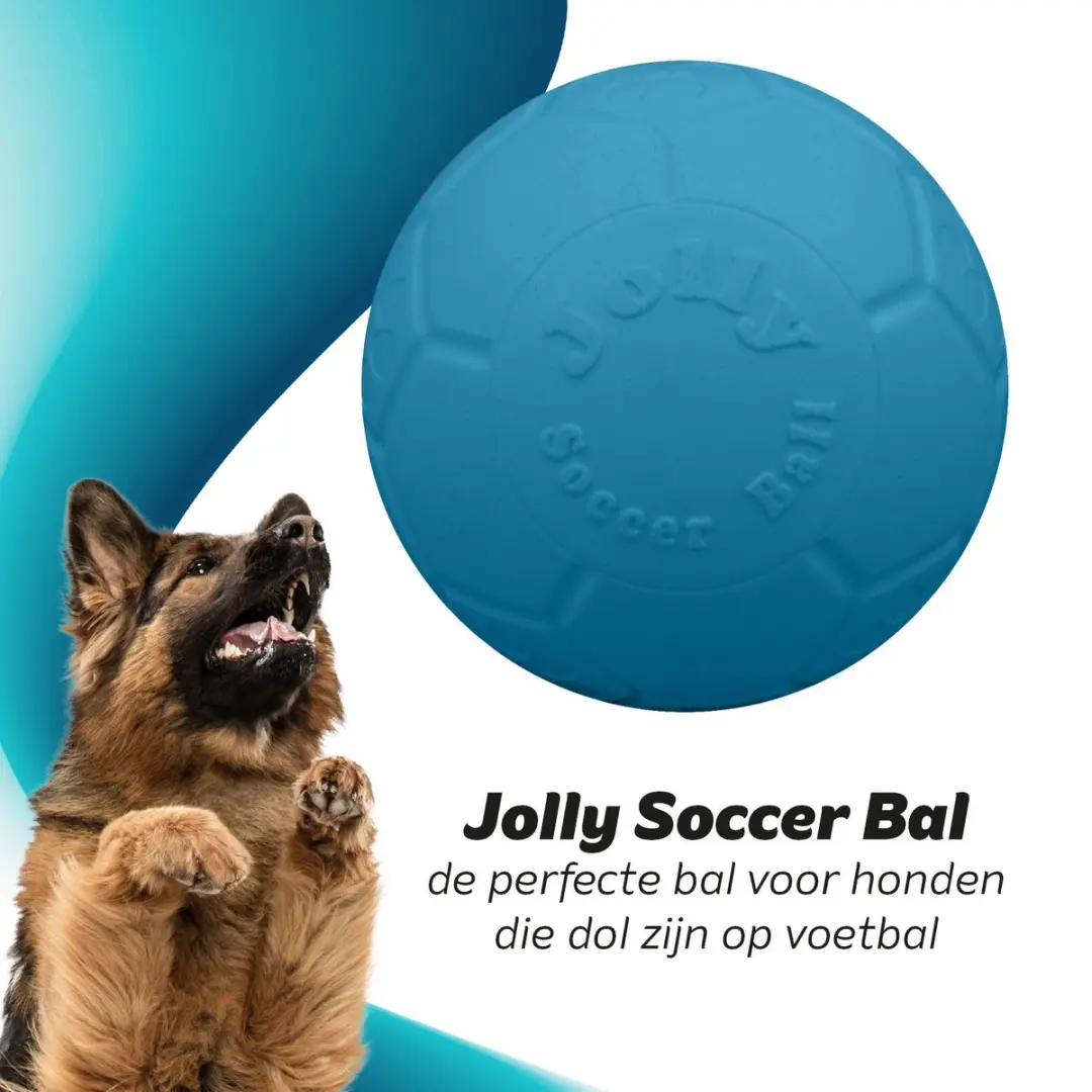 Jolly Pets Jolly Soccer Ball Hondenspeelgoed - Ø20cm - Lichtblauw - afbeelding 4 van 6