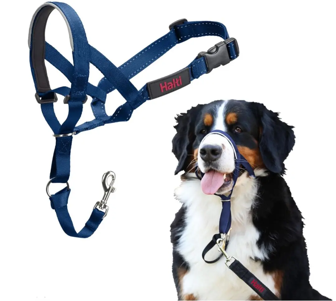 Halti Headcollar