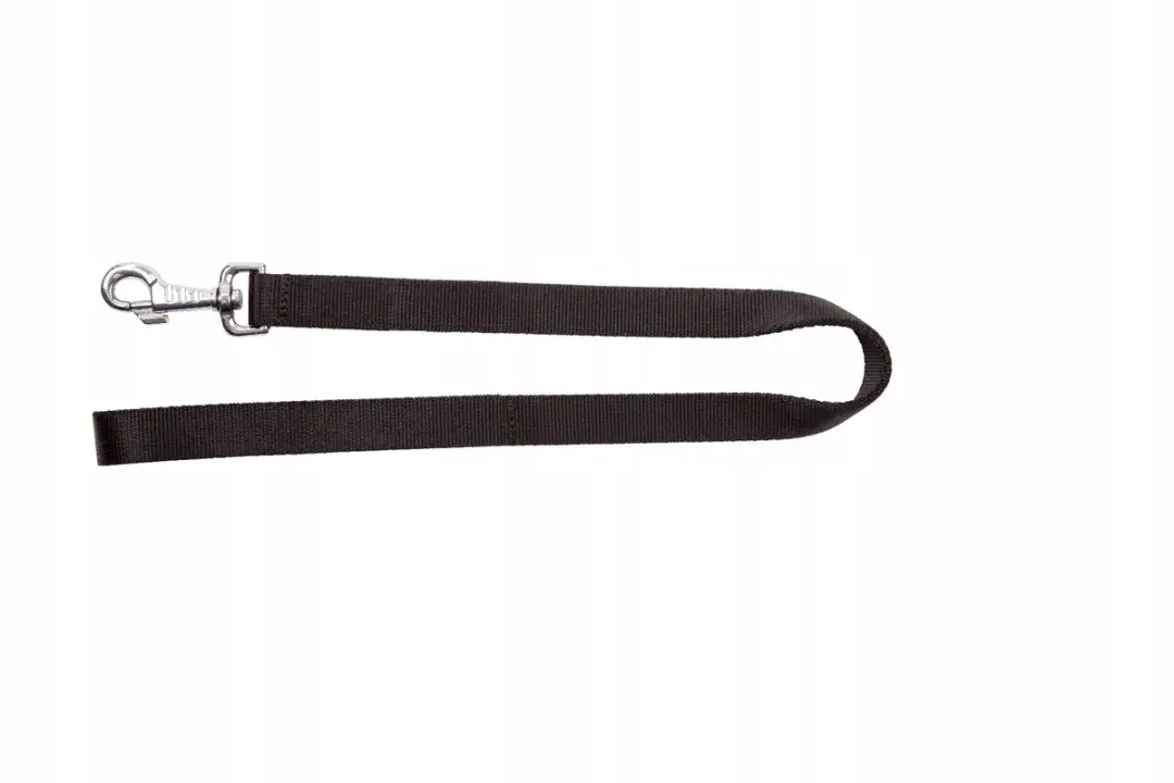 Dingo Hondenriem Kort 2,5x80 cm Zwart