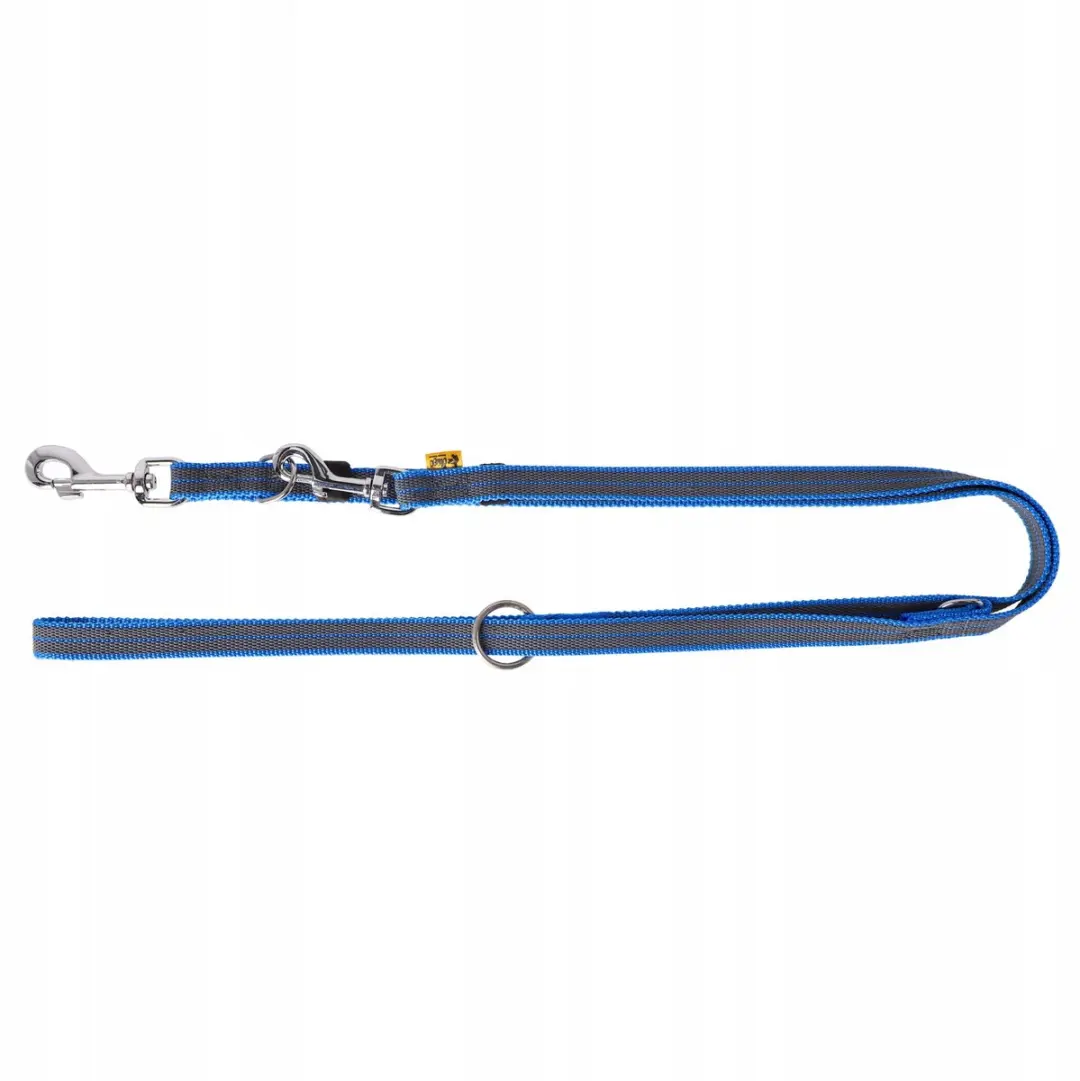 Dingo Antislip Verstelbare Hondenlijn 2.2m Blauw