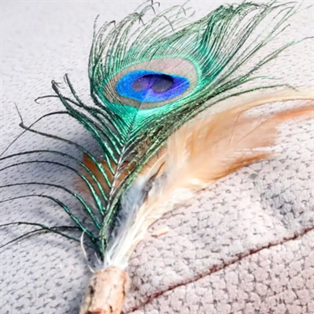 Croci Euphoria Kattenhengel met Matatabi en Pauwenveer - 12 cm - Blauw - afbeelding 3 van 4