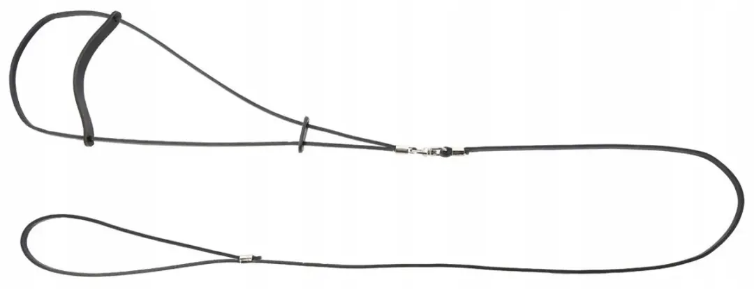 Dingo Leren Ringlijn 0,6x150cm Zwart