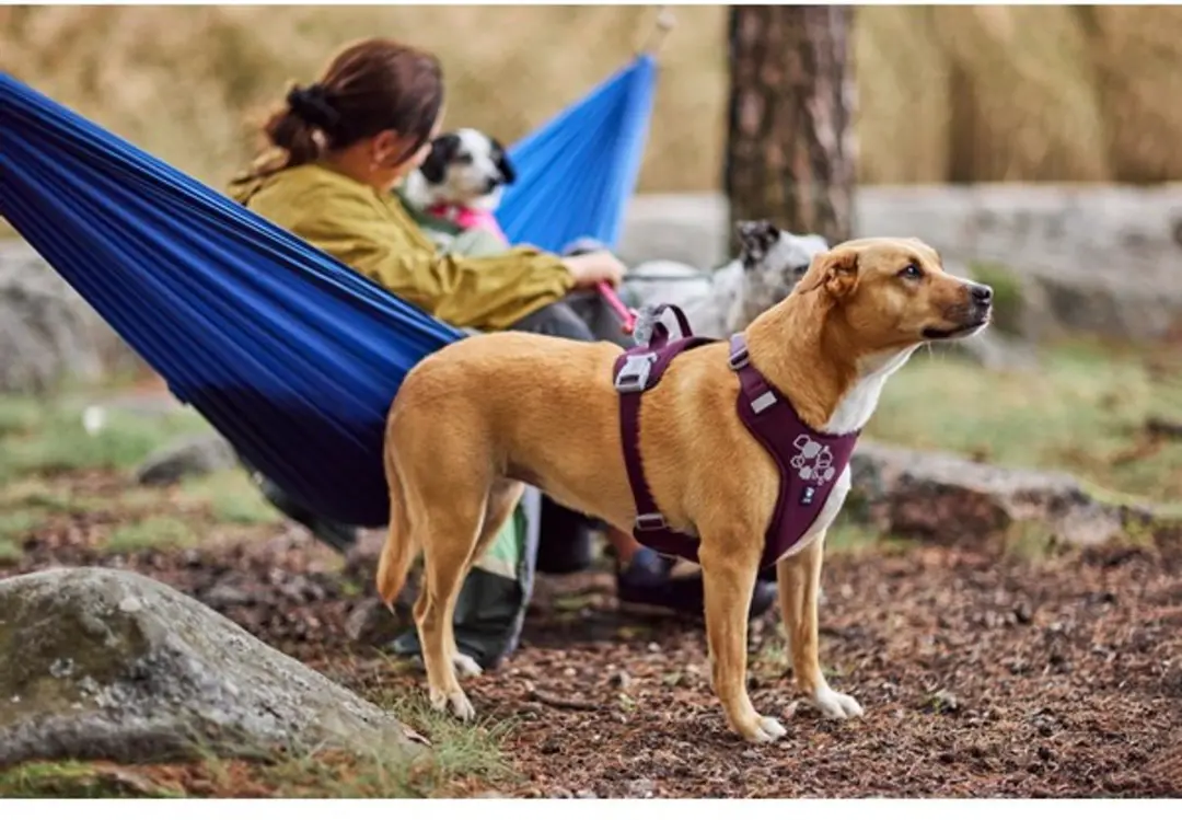 Hurtta Weekend Warrior Eco Harness 2 - 40-50 cm - Eggplant - afbeelding 2 van 2