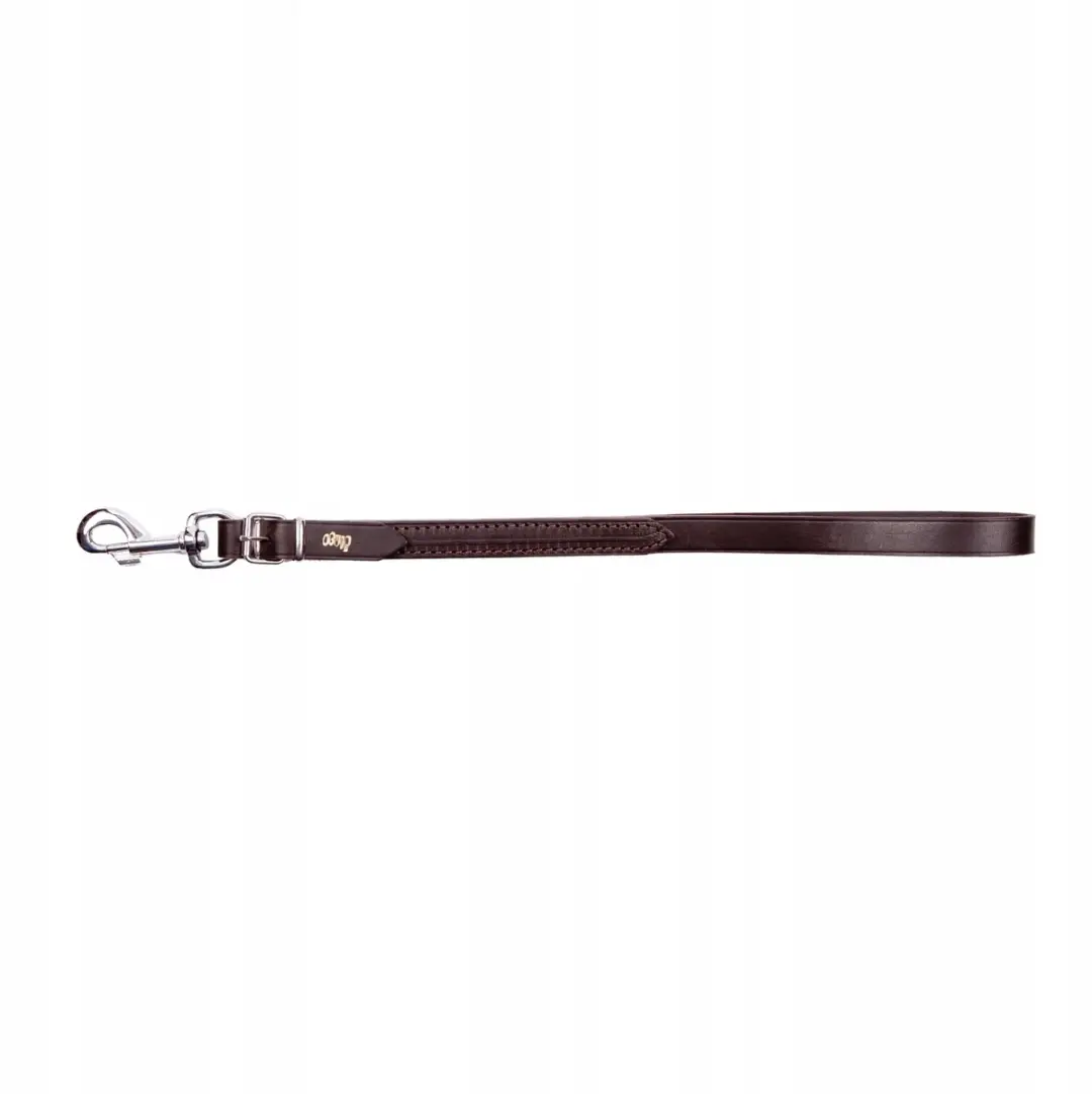 Dingo Korte Leren Hondenriem 2x70 cm Bruin