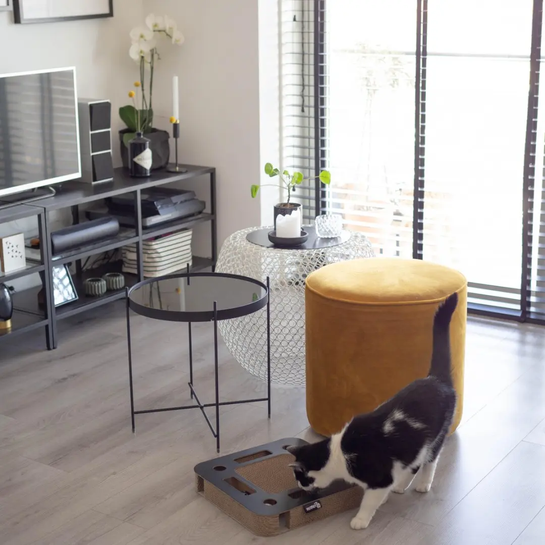 District 70 SPY Kattenspeelgoed - 35x35x6cm - Zwart - afbeelding 2 van 6