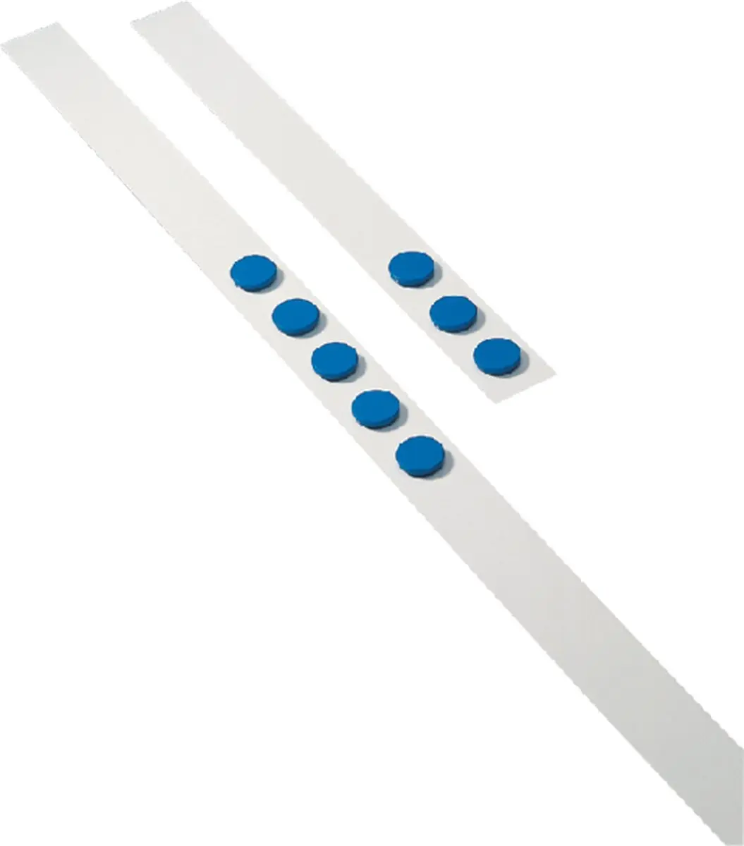 Wandlijst Desq 100cm met 5 blauwe magneten van 32mm