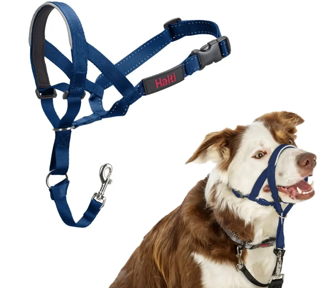 Halti Headcollar